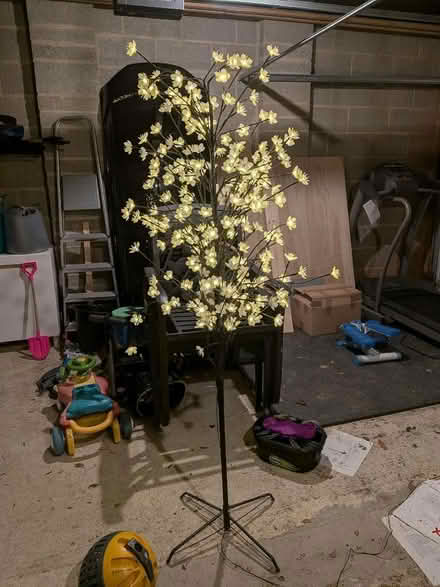 Photo of free Outdoor tree light (Cumnor OX2) #1