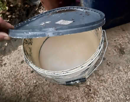 Photo of free Magnolia paint 3/4 full (Southend-on-sea SS1) #2