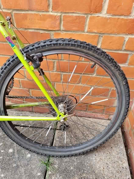 Photo of free Mountain bike (CM2 springfield, chelmsford) #3