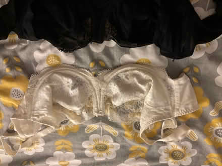 Photo of free Bras 38DD (Oxford OX33) #3