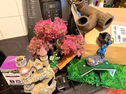 Photo of free Fish Tank Decorations (Twickenham TW1) #1