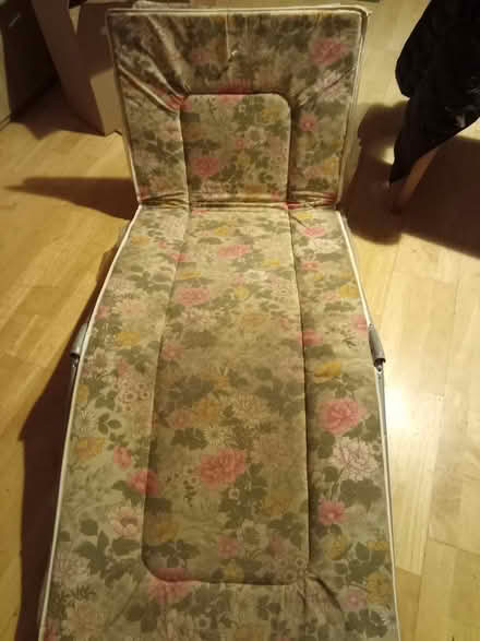 Photo of free Kitchen stuff, sunlounger, plant (Northwood Hills HA5) #2