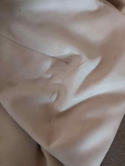 Photo of free Beanbag (Dunston S41) #2