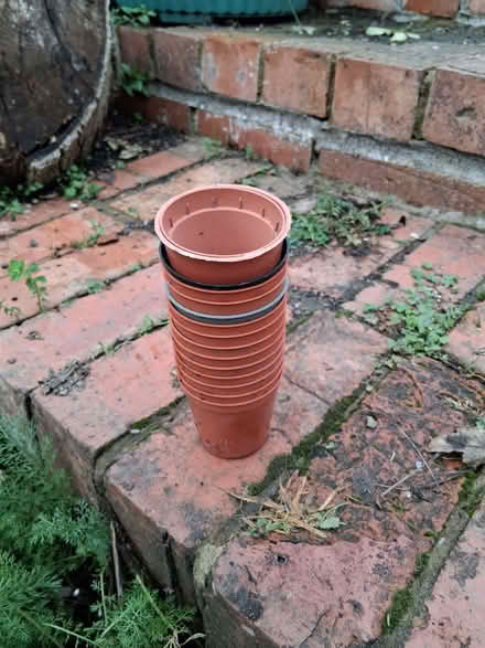 Photo of free 14 tiny plastic flowerpots (Stroud GL5) #1