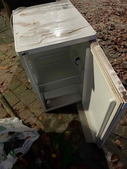 Photo of free Under worksurface fridge (S10 Broomhill) #2