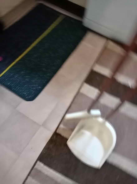 Photo of free Dustbin and brush (Maidenhead SL6) #2