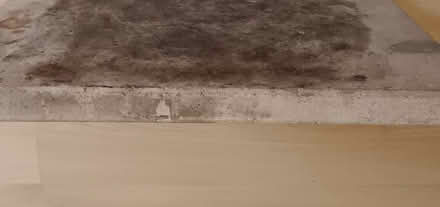 Photo of free Pizza stone (Finchampstead RG40) #3