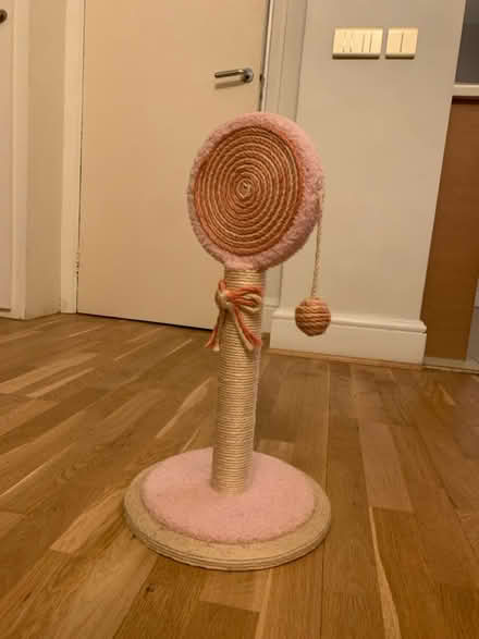 Photo of free cat scratcher (Maida Vale W9) #2