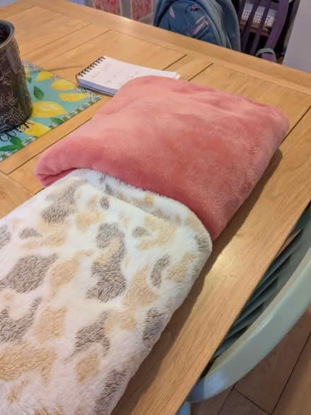 Photo of free Two soft fleecy blankets (Camberley GU15) #1