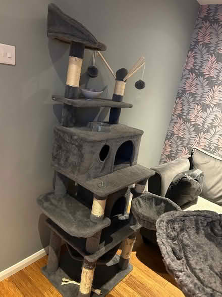 Photo of free Large cat tree tower (Leeds LS12) #1