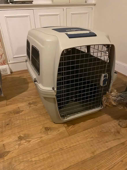 Photo of free Large dog carrier crate (West Ewell Epsom KT19) #2