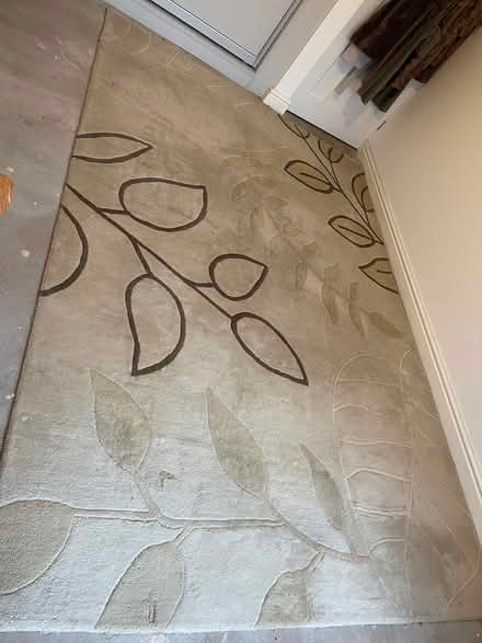 Photo of free Large wool rug (Admaston telford) #1