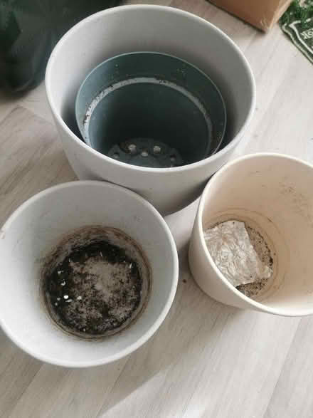 Photo of free Indoor Plant Pots (Longsight M12) #1