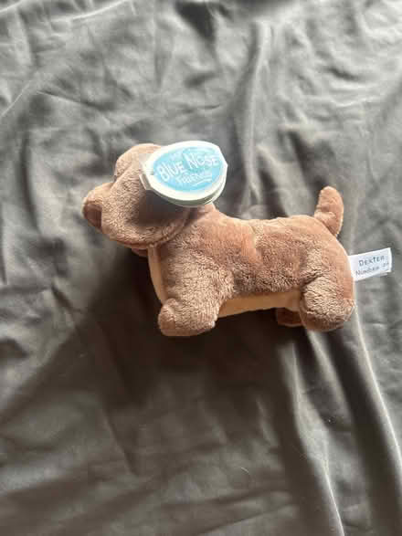 Photo of free New small dog (Park street st albans AL2) #2