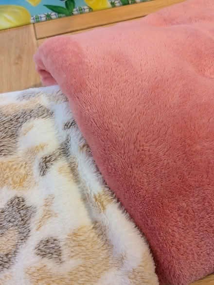 Photo of free Two soft fleecy blankets (Camberley GU15) #2