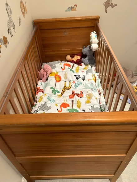 Photo of free Cot (Epsom) #2