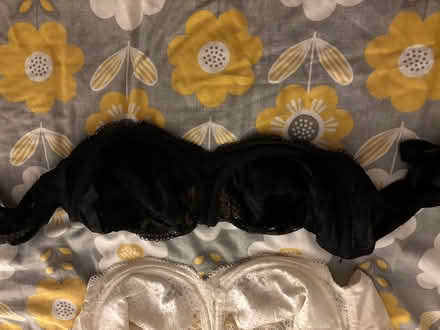 Photo of free Bras 38DD (Oxford OX33) #2