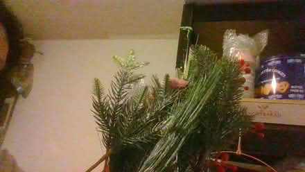 Photo of free wreath ring picks and lights (Bath BA2) #3