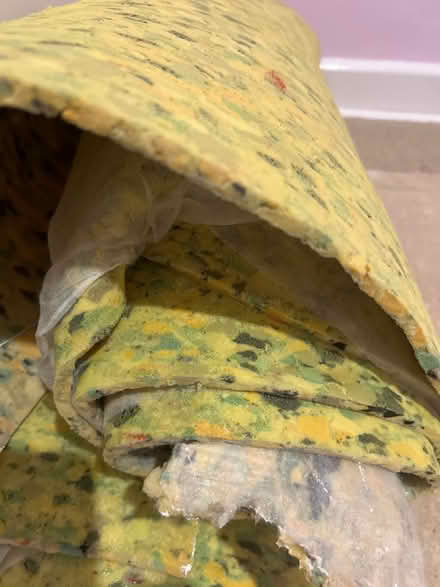 Photo of free Carpet underlay (Ware SG12) #2