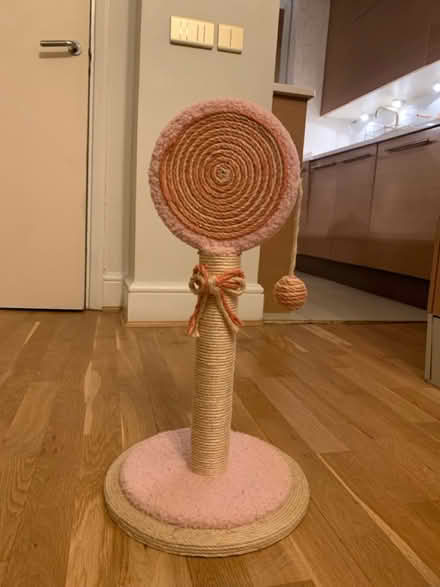 Photo of free cat scratcher (Maida Vale W9) #1