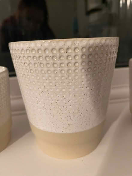 Photo of free 3 flower pots (Burgess Hill RH15) #2