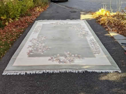 Photo of free Wool Rug 8'6"x12" (Merivale and Baseline) #1
