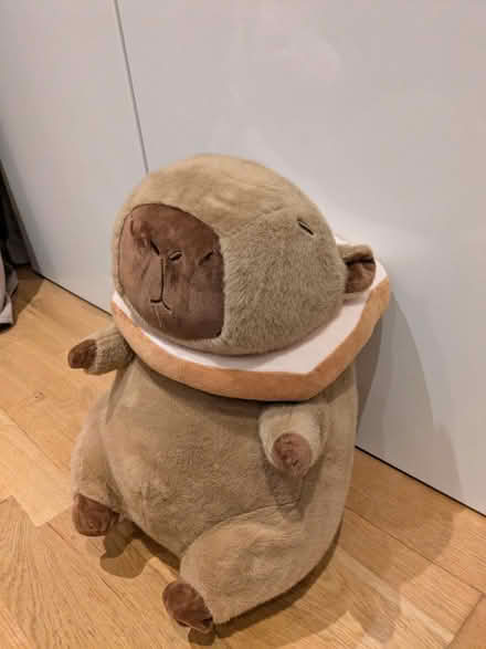 Photo of free Plush, soft toy, medium Capybara (Earley, RG6) #1