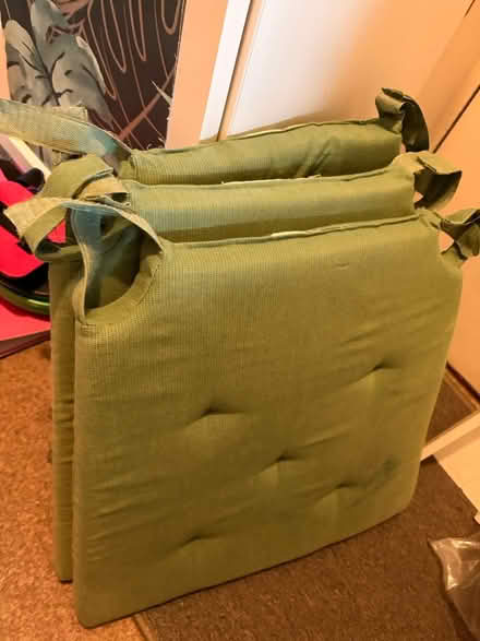 Photo of free IKEA Chair cushions (Twickenham TW1) #1
