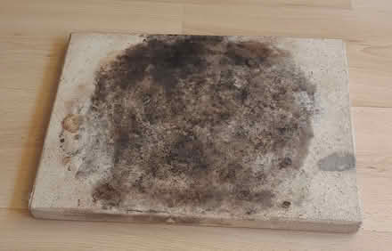 Photo of free Pizza stone (Finchampstead RG40) #1