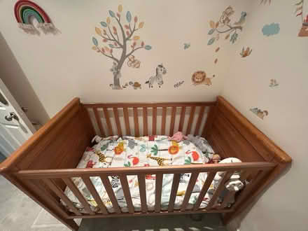 Photo of free Cot (Epsom) #1