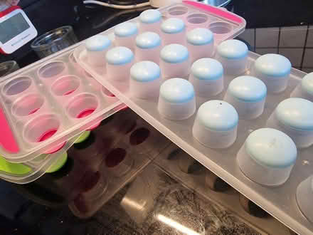 Photo of free Ice trays (Edinburgh EH4) #2