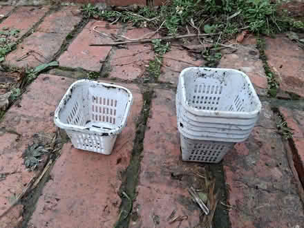 Photo of free 7 tiny plastic plant pots to use in a pond (Stroud GL5) #1