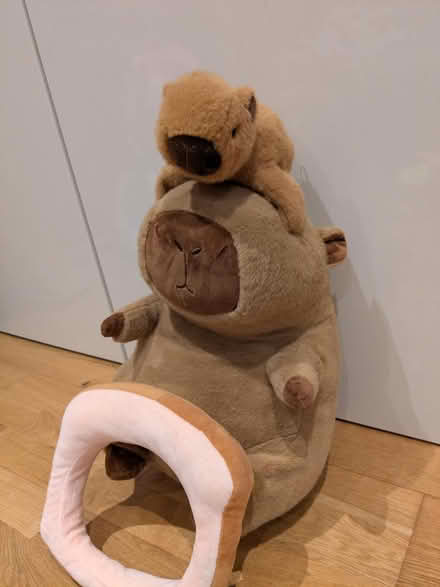 Photo of free Plush, soft toy, medium Capybara (Earley, RG6) #4