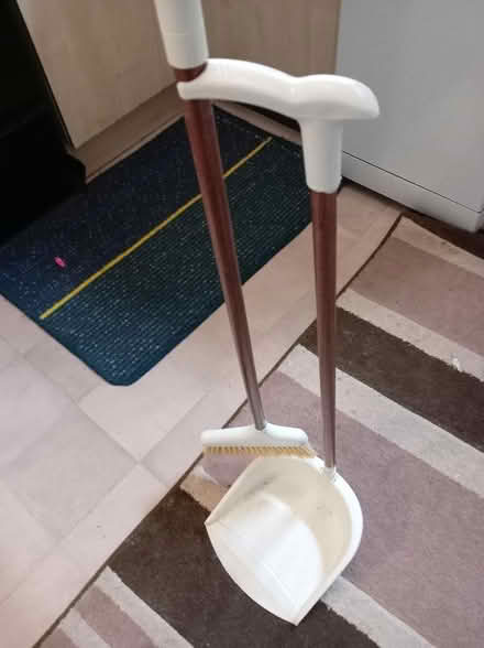 Photo of free Dustbin and brush (Maidenhead SL6) #1