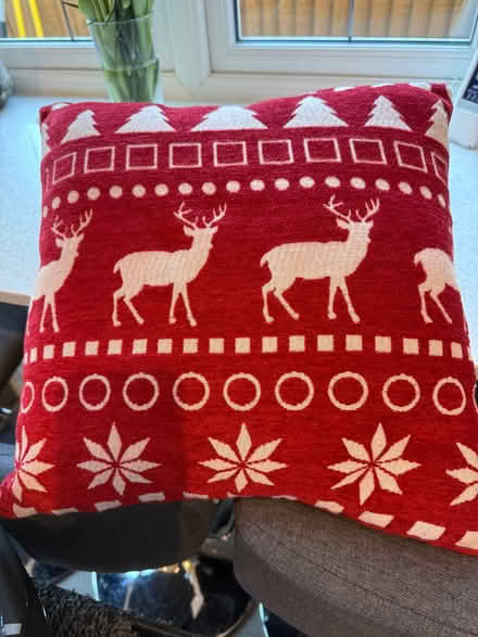 Photo of free Christmas Cushions (Dane Mead RG24) #1