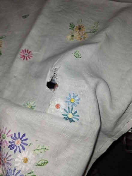 Photo of free Embroidered cotton tablecloth (crouch end, N8) #3