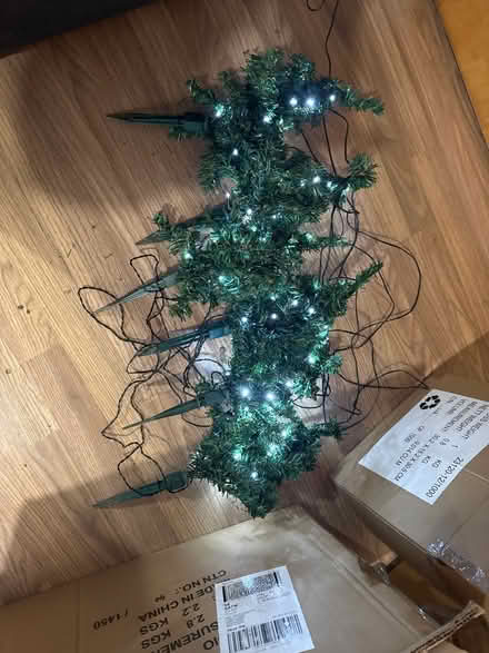 Photo of free Small outdoor Christmas trees (Hurst Green TN19) #1