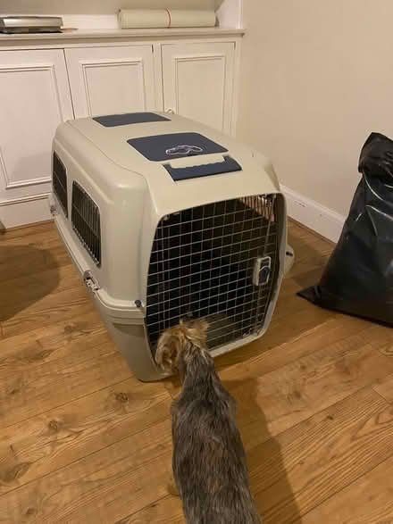 Photo of free Large dog carrier crate (West Ewell Epsom KT19) #3