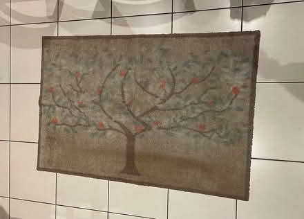 Photo of free Door mat (East Malling) #1