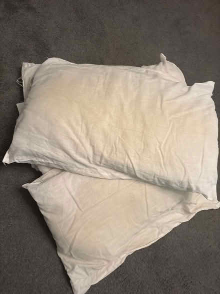 Photo of free 4 silent night pillows (Springfield CM2) #1