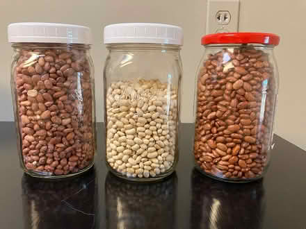 Photo of free Dried beans (San Pedro/Zuni) #1