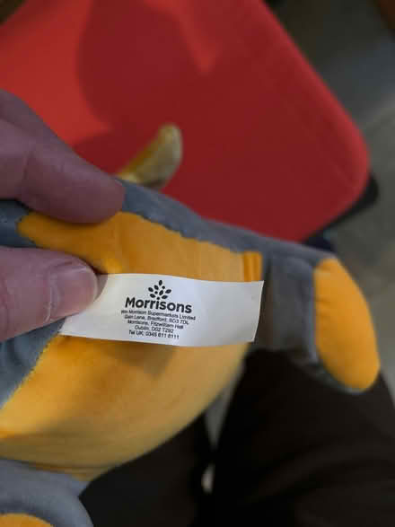 Photo of free Dragon cuddly toy (Emmer Green (RG4)) #3