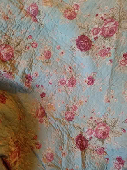 Photo of free Large reversible comforter (Gidea Park RM11) #1