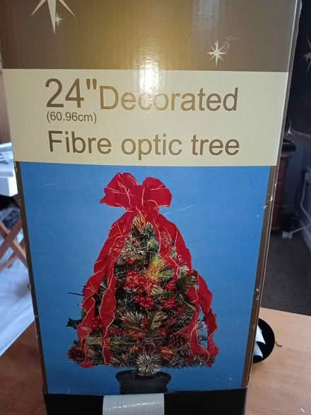 Photo of free Fibre optic Christmas Tree (St Peters WR5) #3