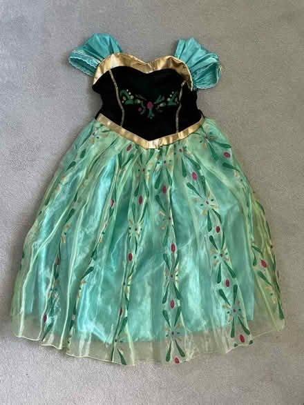 Photo of free Frozen Anna dress (Sherwood TN2) #1