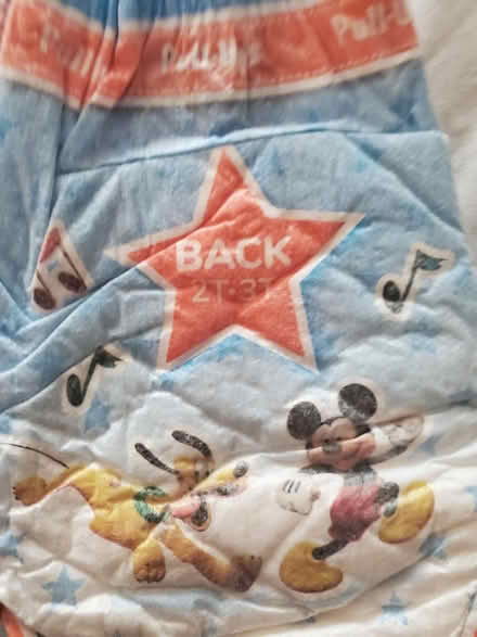 Photo of free Swim diapers (East, close to NE) #2