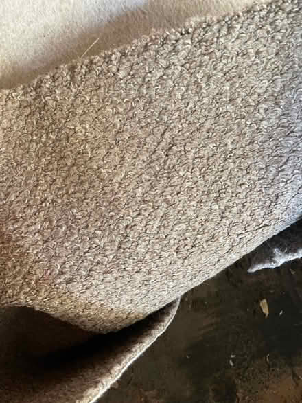 Photo of free Carpet (Cambridge) #1