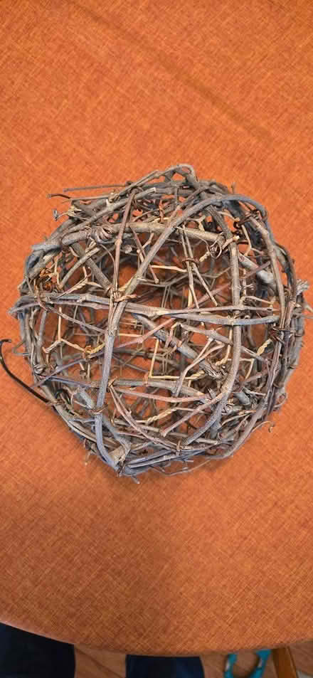 Photo of free Grapevine Balls (Crofton, near the high school.) #1