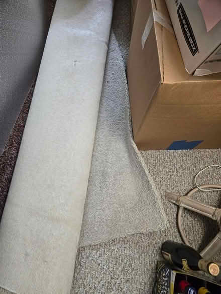 Photo of free New carpet plus padding (Near the SRQ airport) #2
