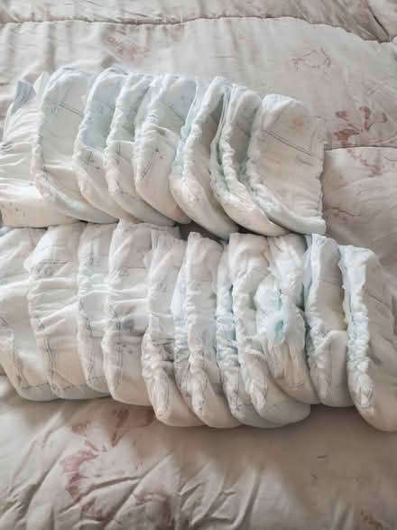 Photo of free 19 size 7 diapers (East, close to NE) #1